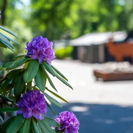 De Bosuil By Interhome 別荘 *