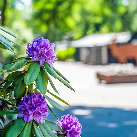 De Bosuil By Interhome Hoenderloo