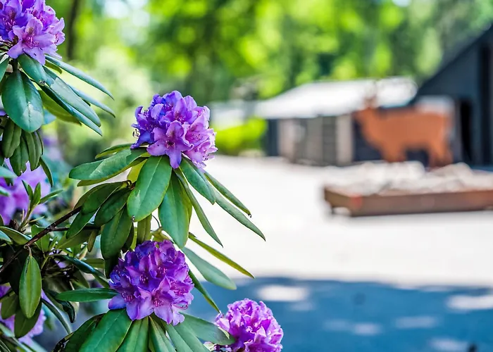 De Bosuil By Interhome Hoenderloo